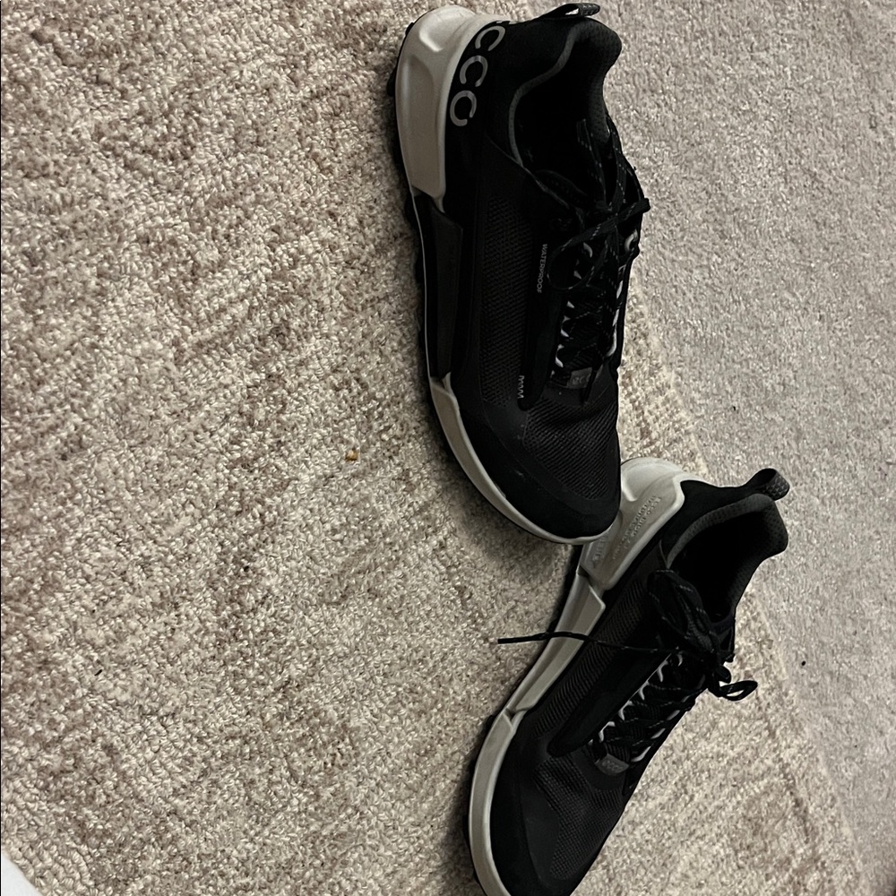 Ecco women’s shoes